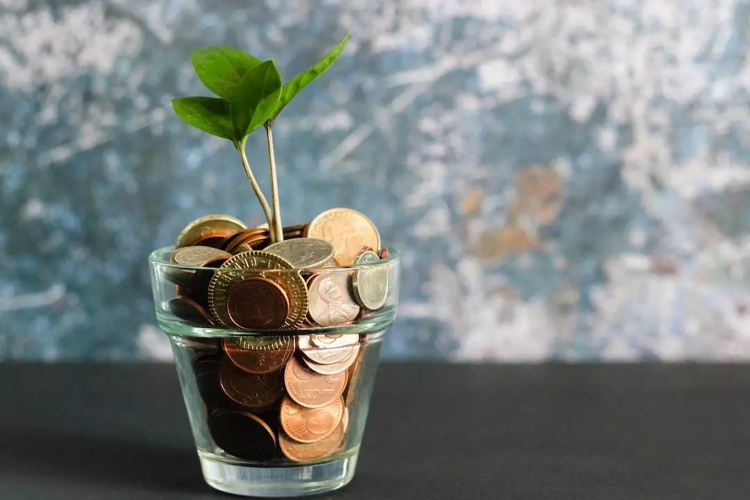 Plant growing from coins in glass, investment growth concept.