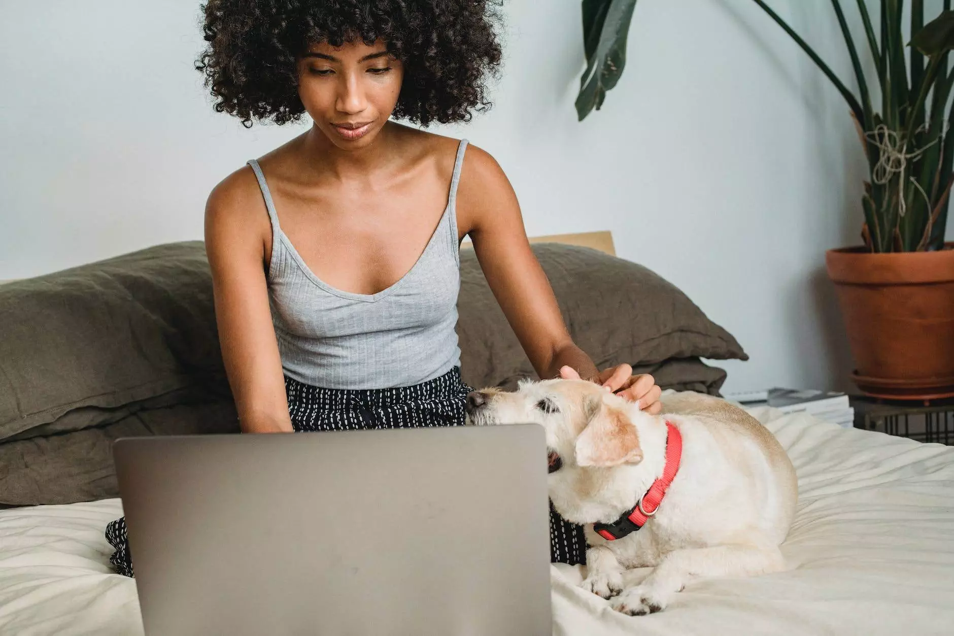 crop black woman with laptop and dog