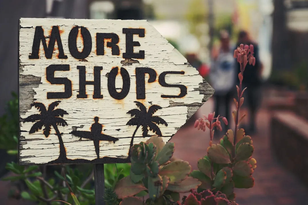 Photo Shoppy Shop Strategy Guide